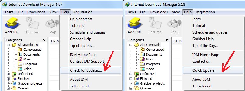 Check for IDM update